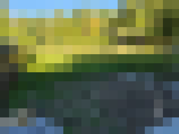  / #11