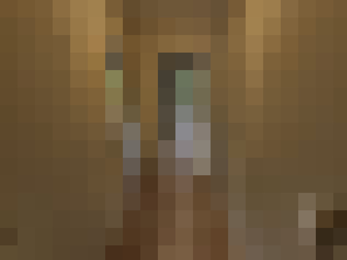  / #6