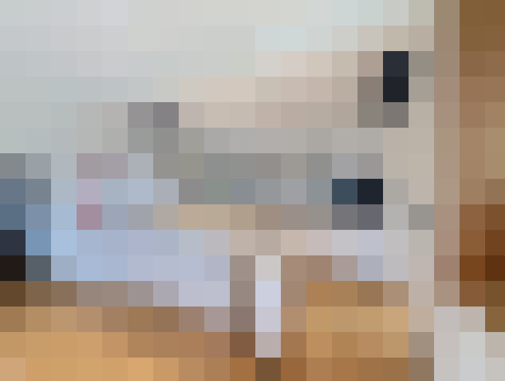  / #11