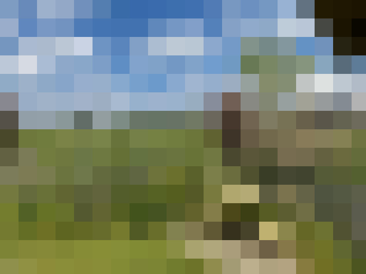  / #51