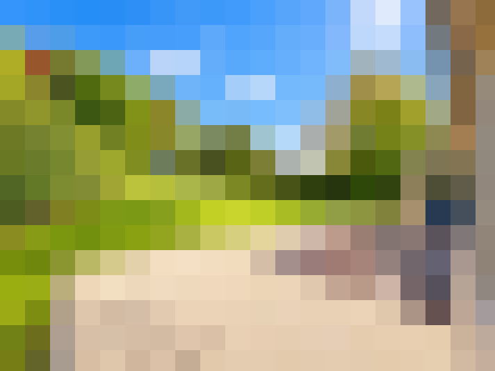  / #18