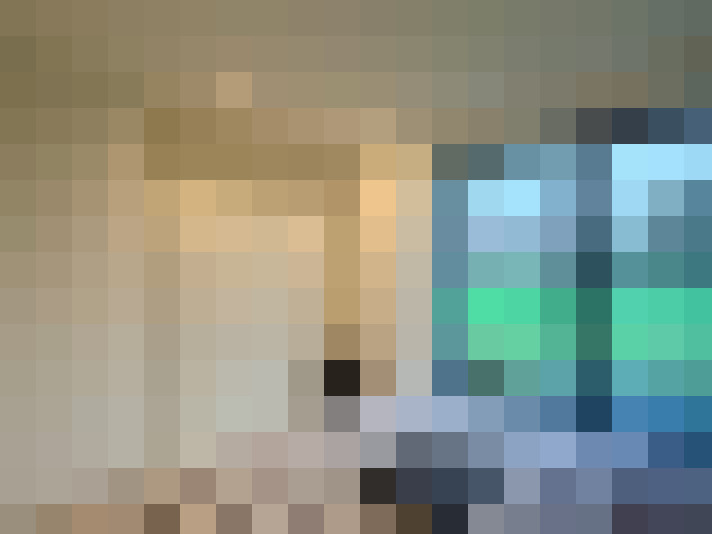  / #7