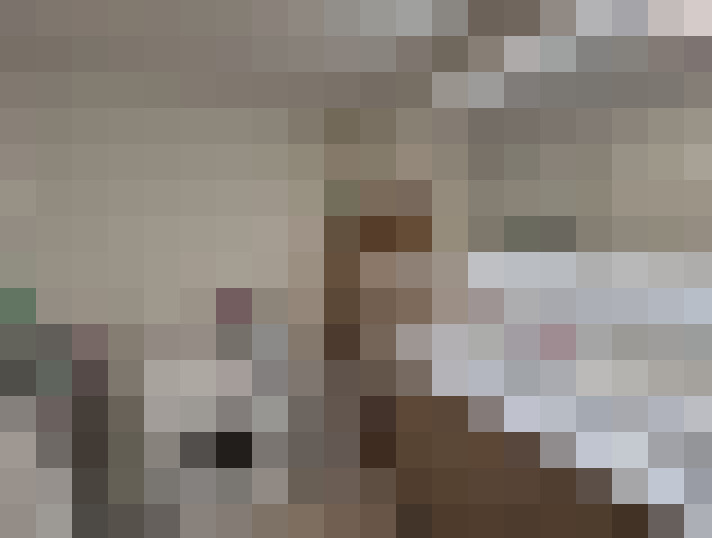  / #20
