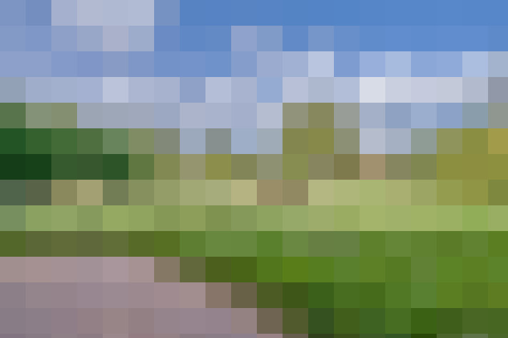  / #16