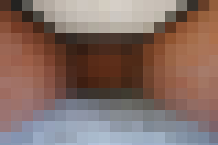  / #15