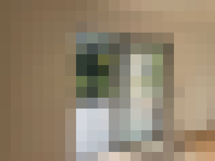  / #16