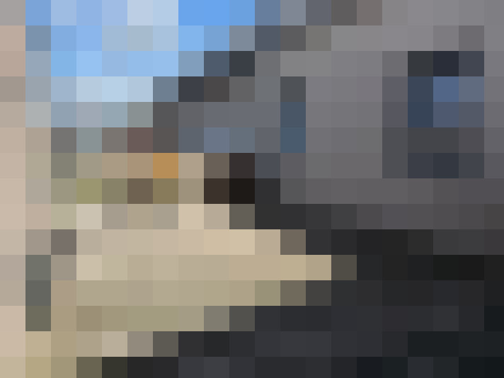  / #8