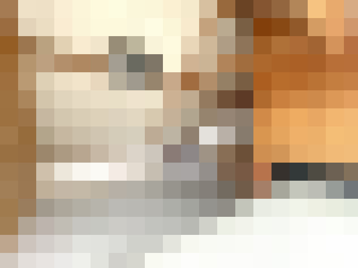  / #16