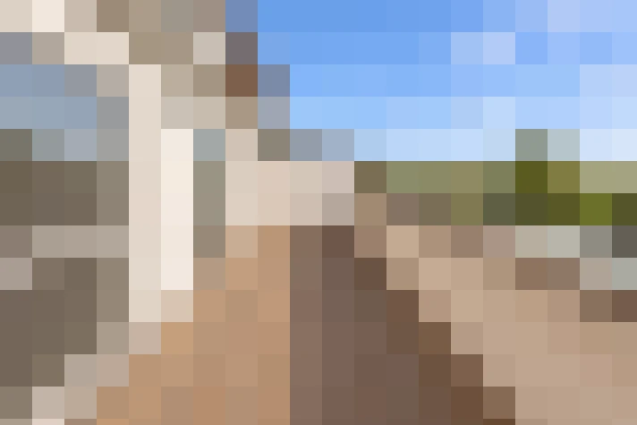  / #7