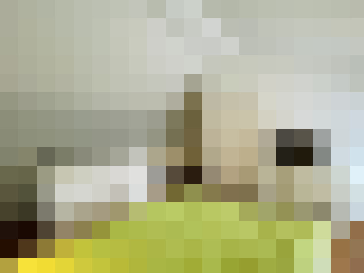  / #9