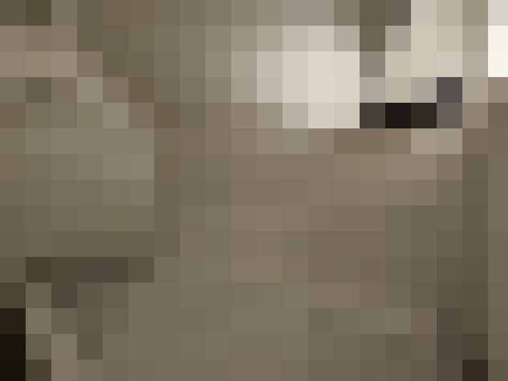  / #17