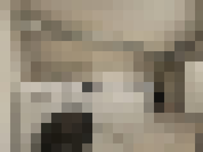  / #19