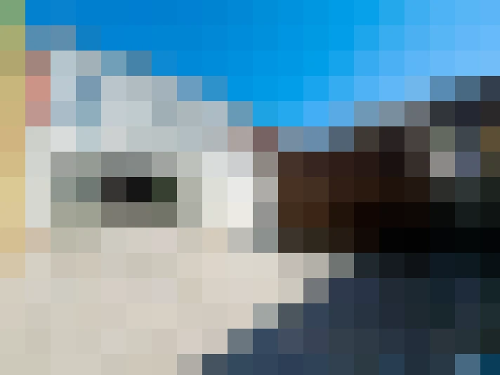  / #20