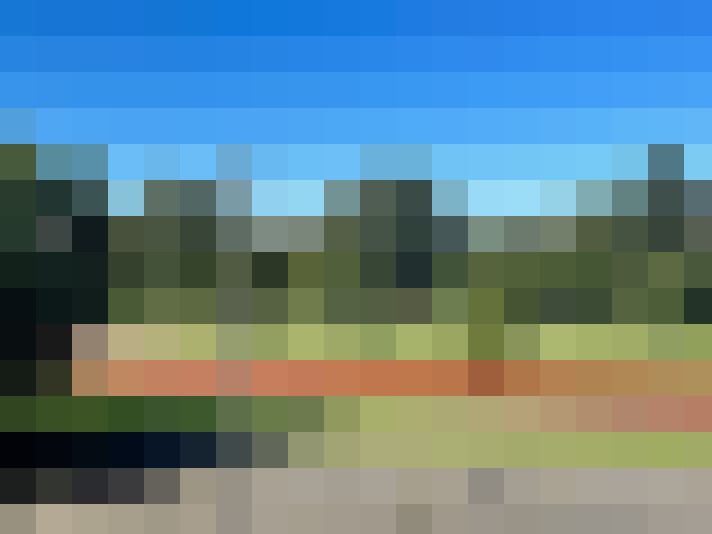  / #16