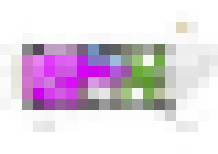  / #10