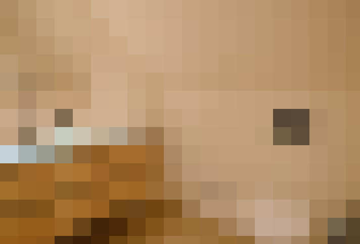  / #17