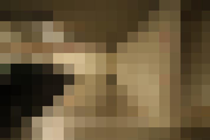  / #21