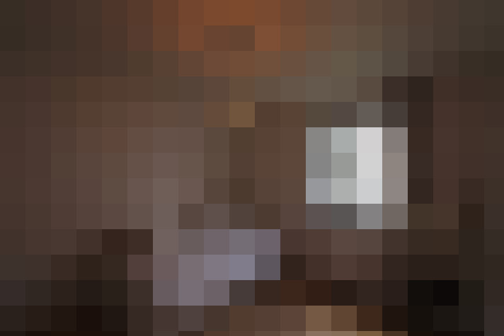  / #15