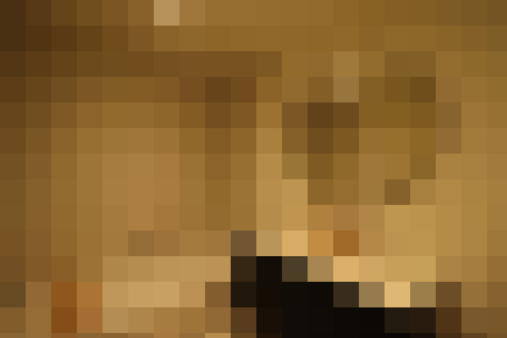  / #13