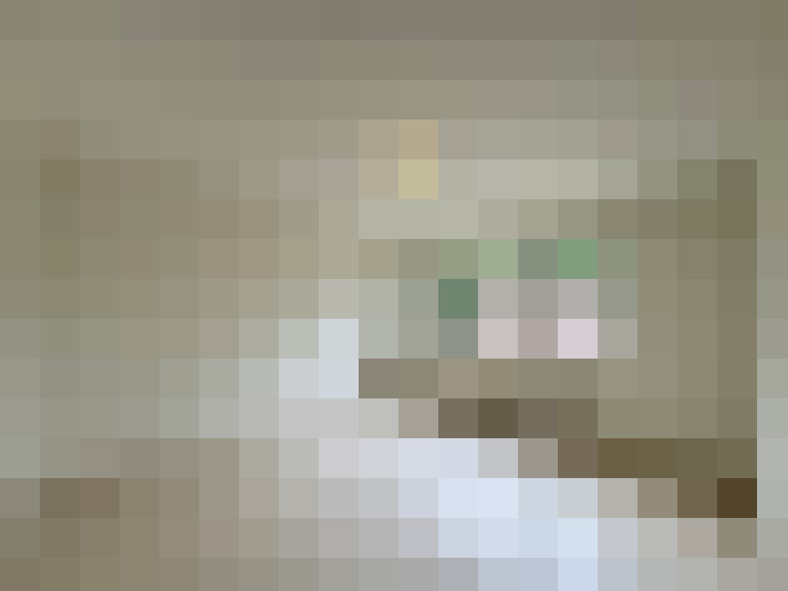  / #8