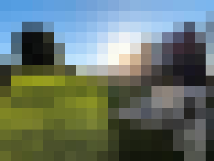  / #16