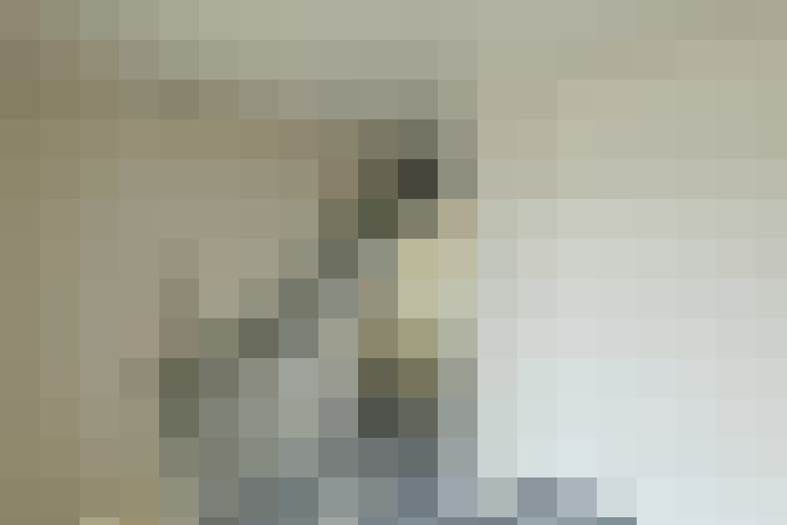  / #19