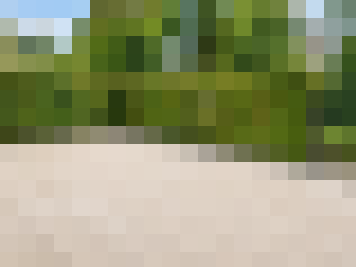  / #6