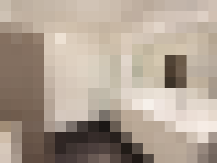  / #16