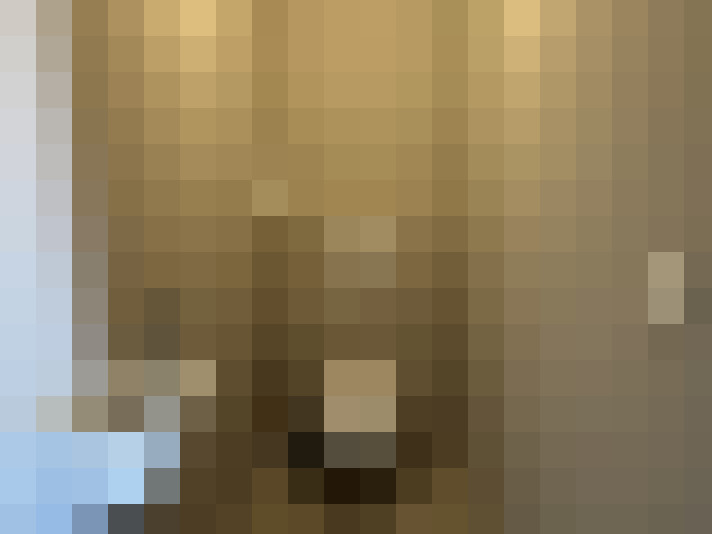  / #15
