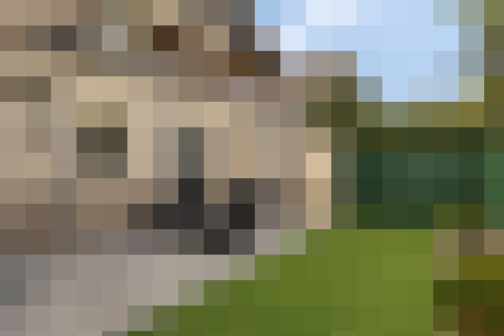  / #15