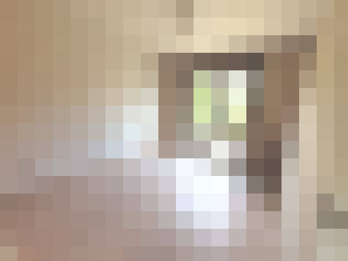  / #9