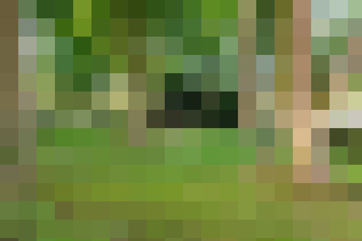  / #12