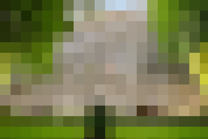  / #25