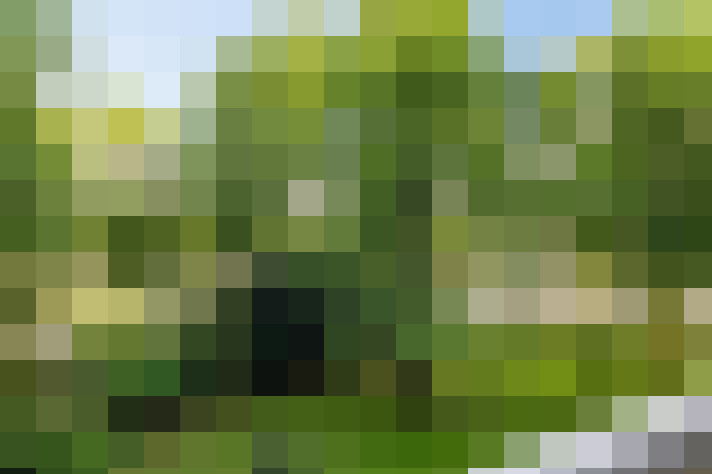  / #7
