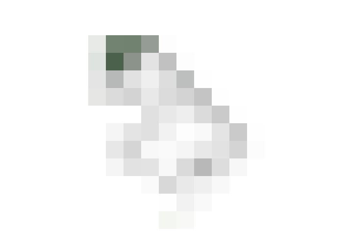  / #9