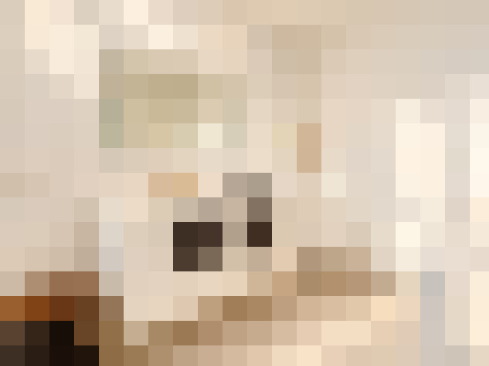  / #14