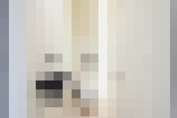  / #29