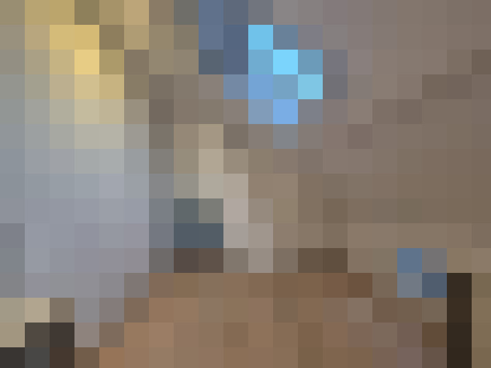  / #23