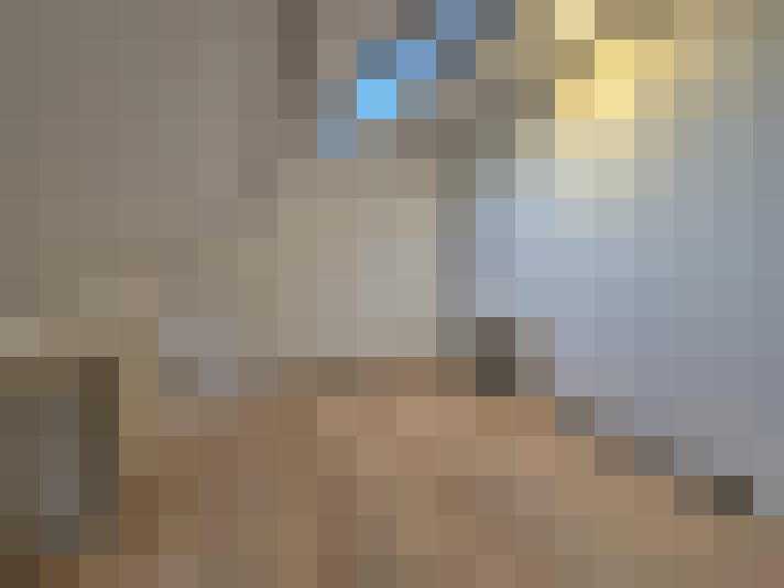  / #21
