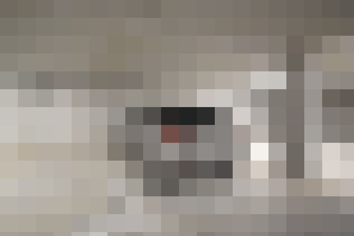  / #12