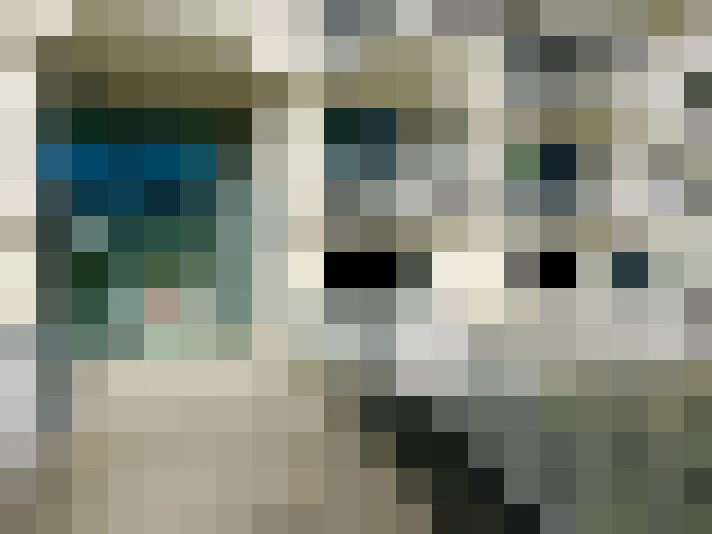  / #13