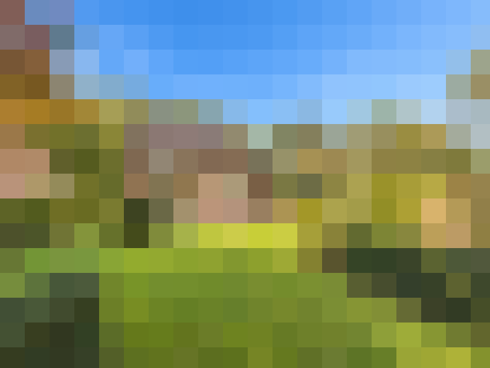  / #14