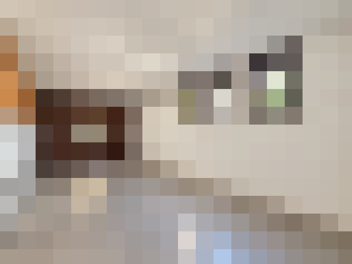  / #18