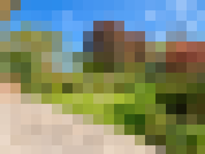  / #11