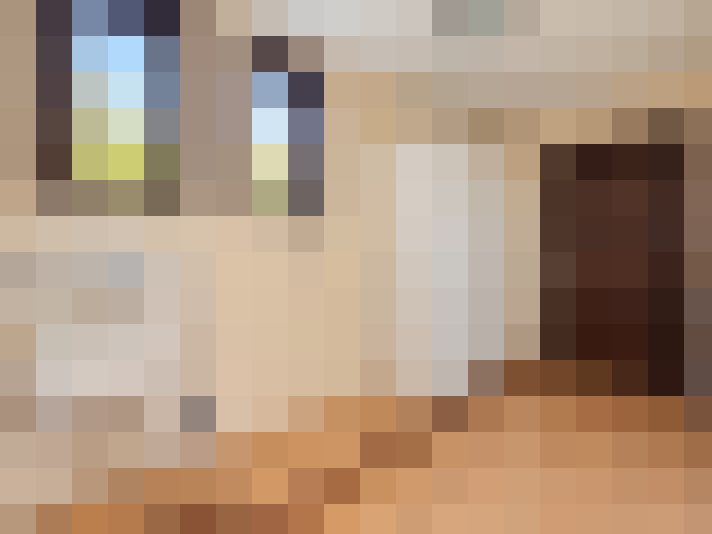  / #17