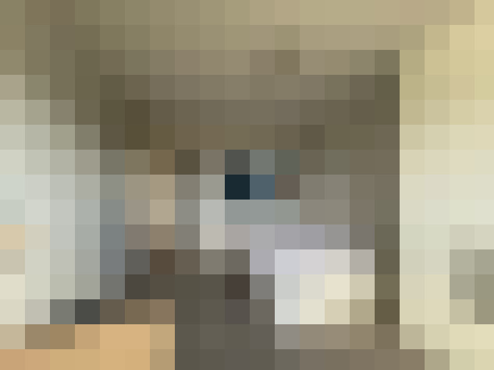  / #16