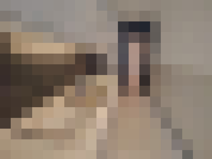  / #8
