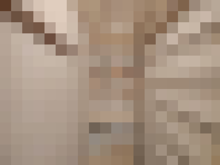  / #22
