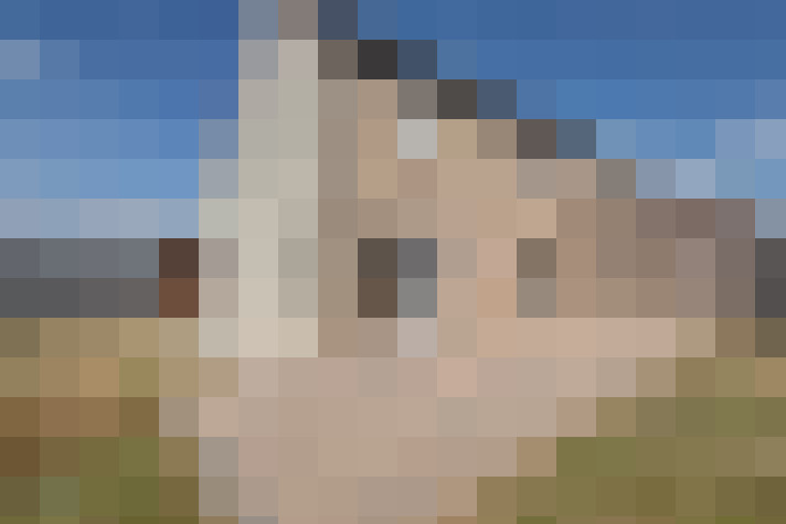  / #24