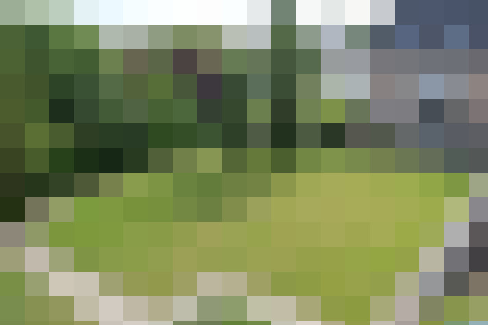  / #13